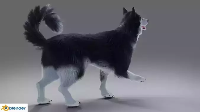 Fur Gray Wolf Rigged V01 in Blender  Low-poly 3D model