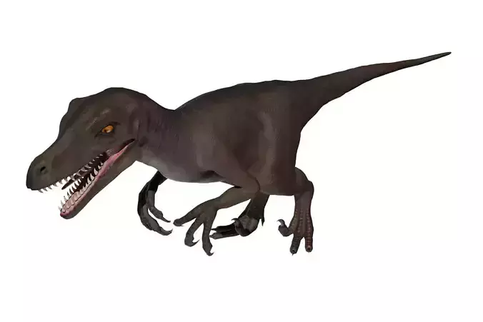 Velocitaptor 