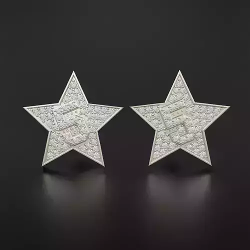 Star Earring
