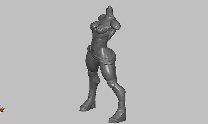 CM body 3D print model