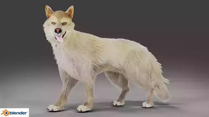 Fur Wolf Rigged and Animation V02 in Blender Low-poly 3D model