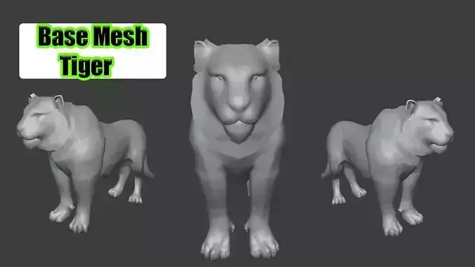 Tiger Base Mesh For games and animation