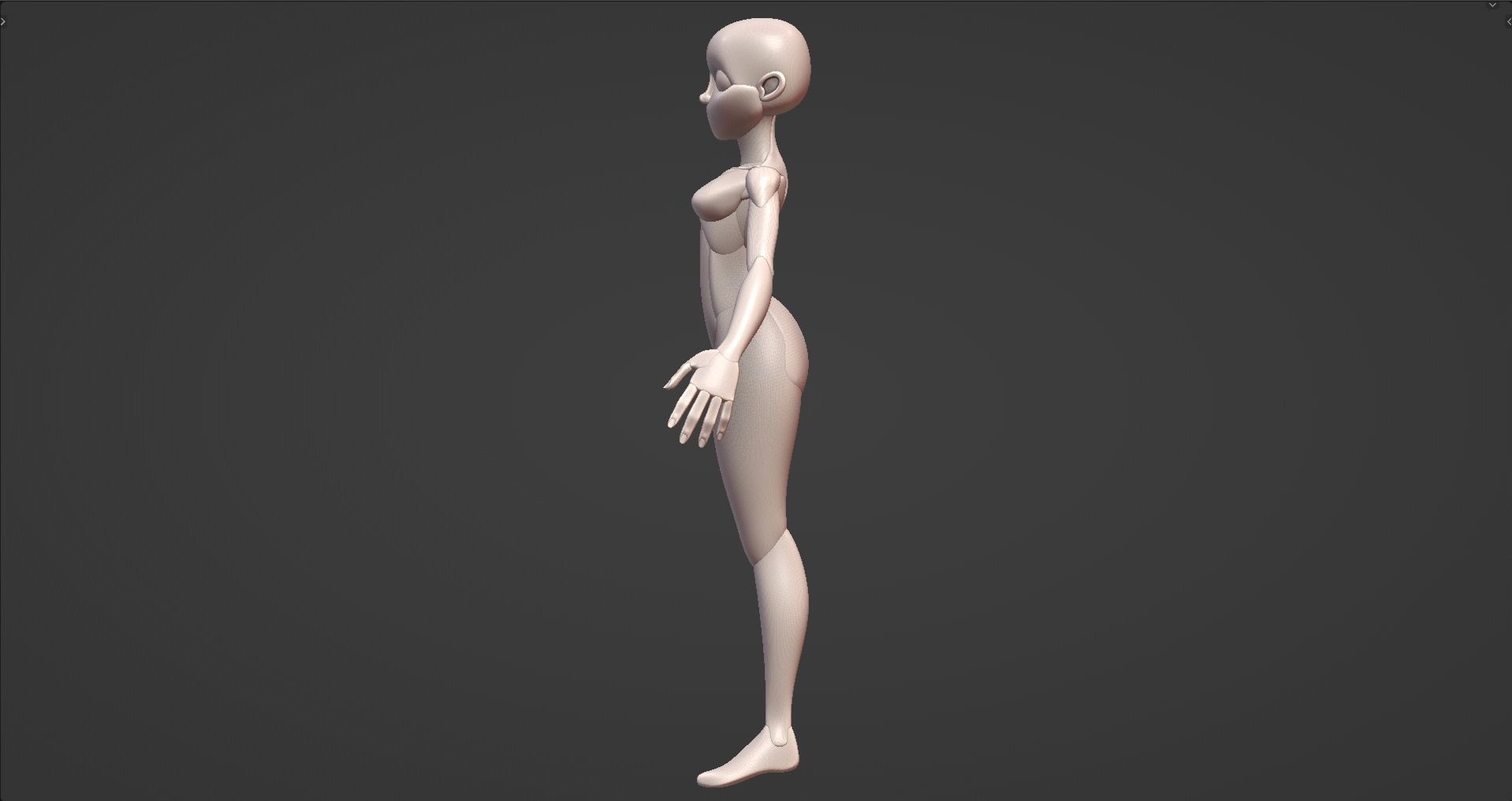 Stylized Female Anatomy Blockout V1 Free 3D model_8