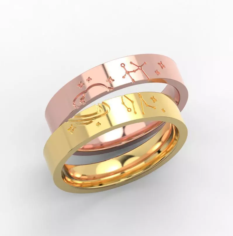 211221 R 2 rings for couple pair space 3D print model