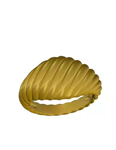 Twist Ring 3D print model