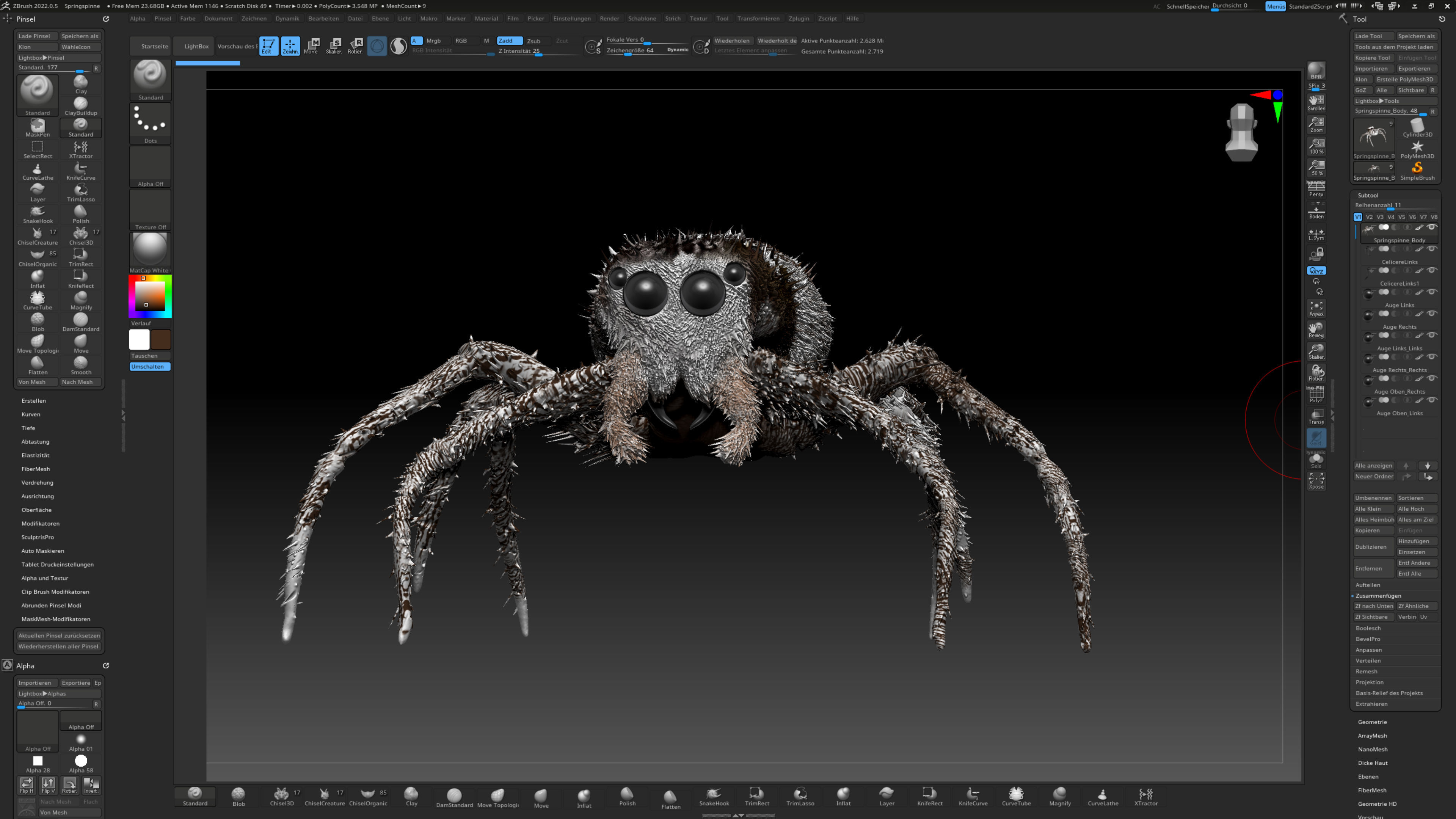 European Zebra jumping spider-Highpolygon 3D model fullsize 3D model_18
