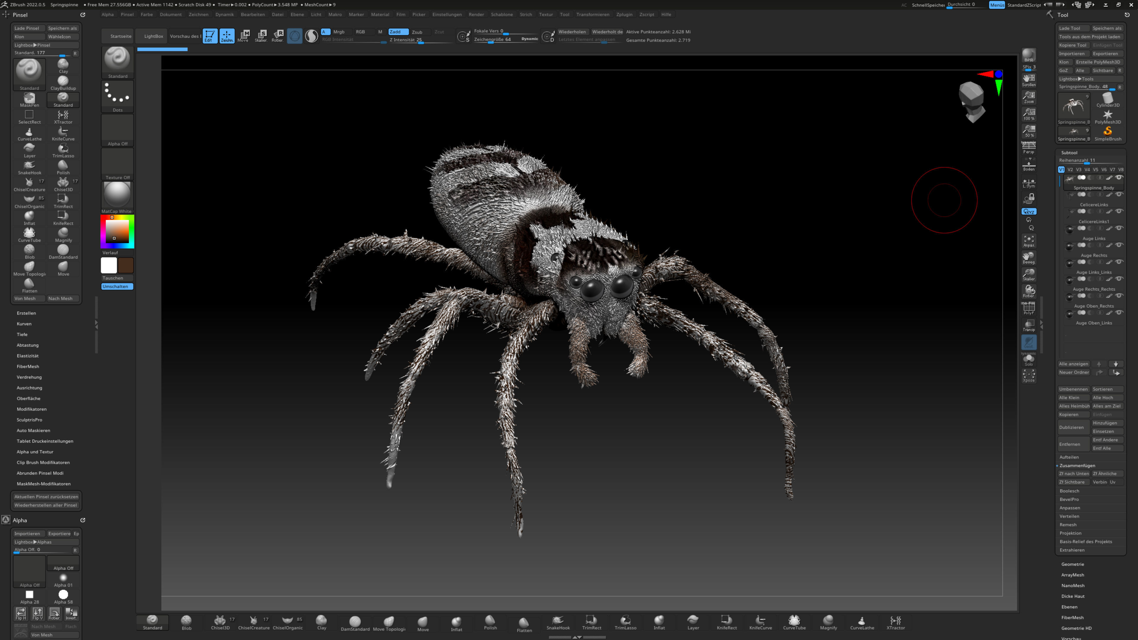 European Zebra jumping spider-Highpolygon 3D model fullsize 3D model_11