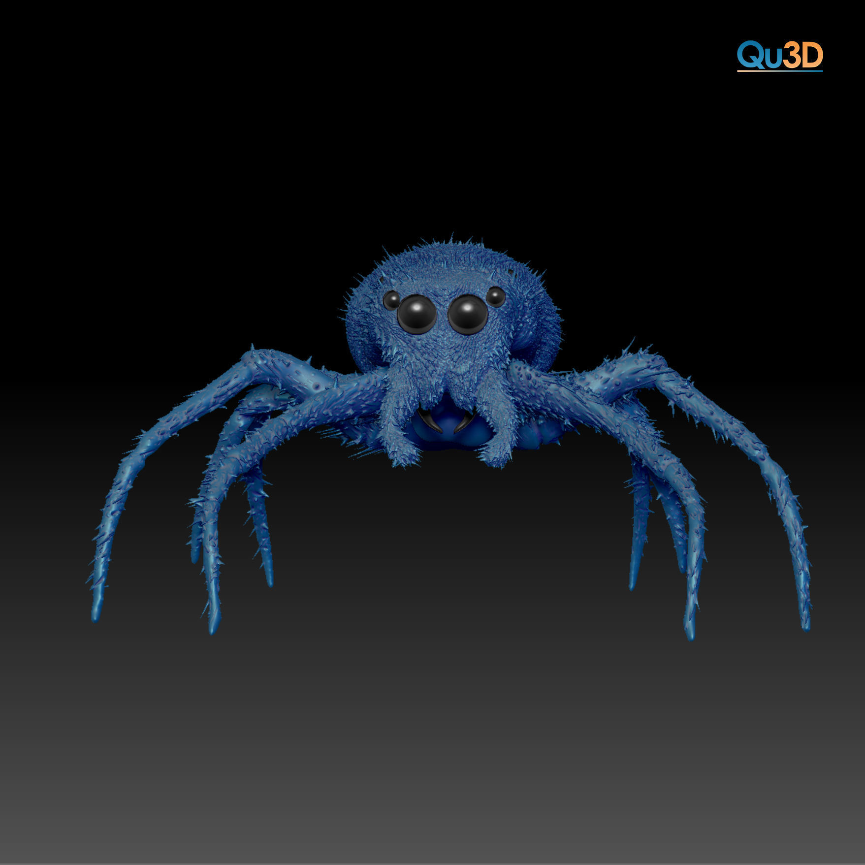European Zebra jumping spider-Highpolygon 3D model fullsize 3D model_4