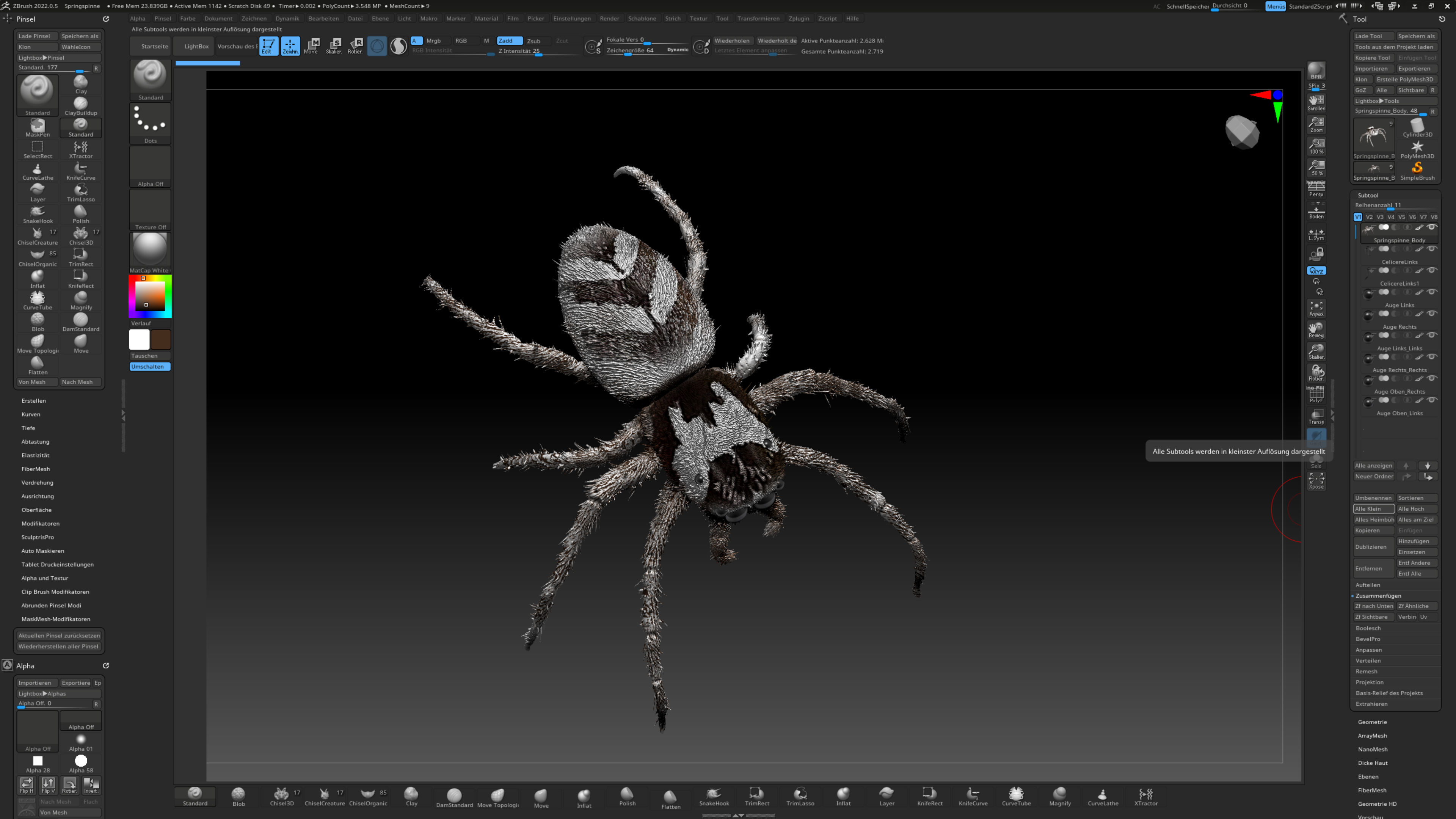 European Zebra jumping spider-Highpolygon 3D model fullsize 3D model_17