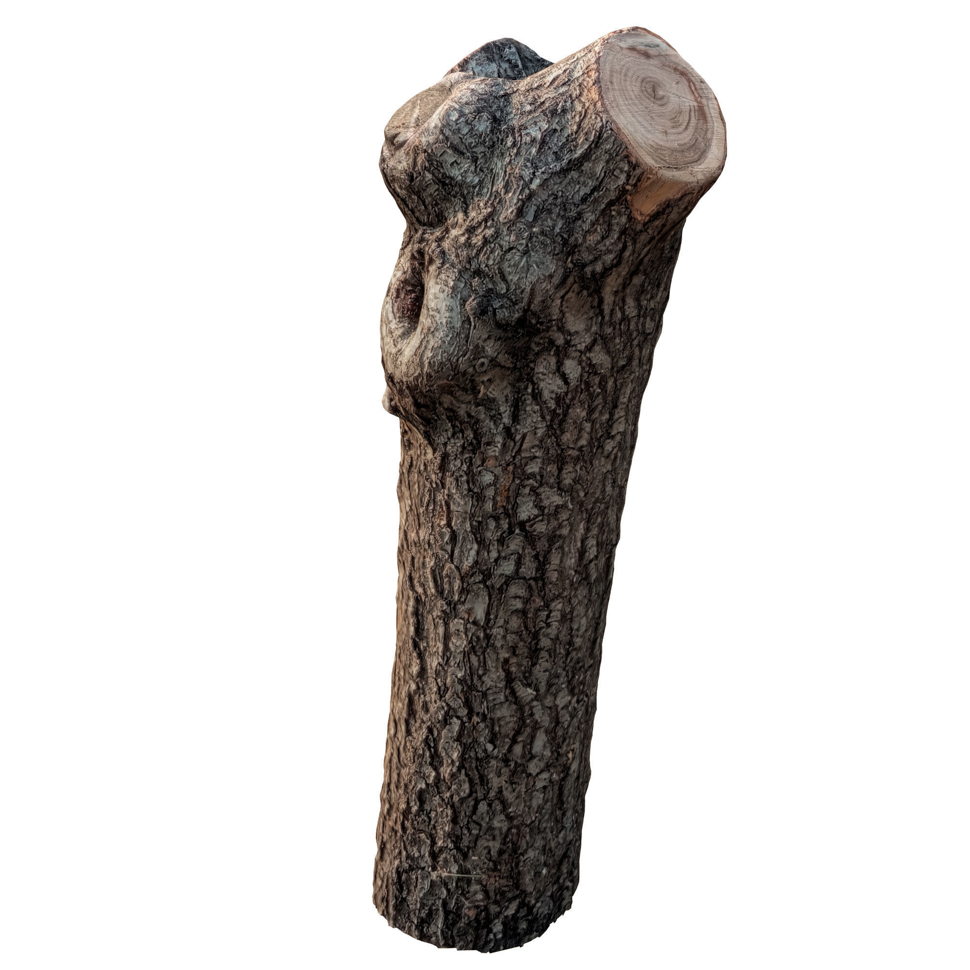 trunk 74 3D model_3