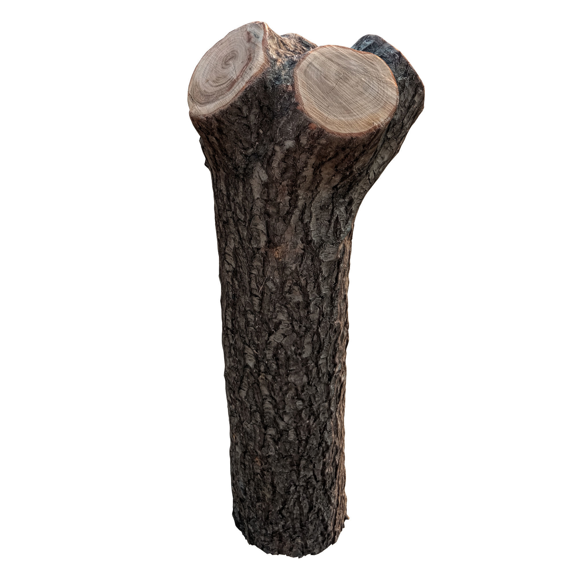 trunk 74 3D model_2