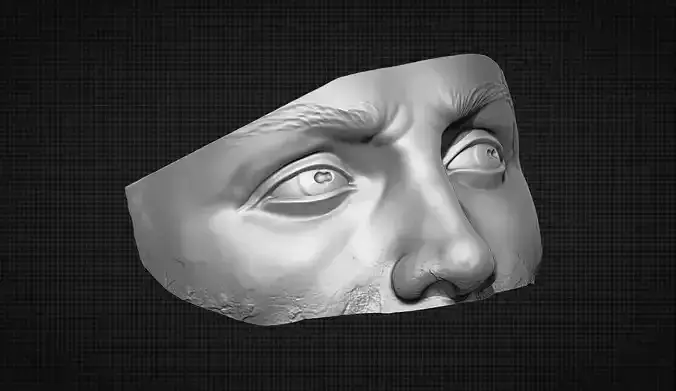 Male Face 3D print model