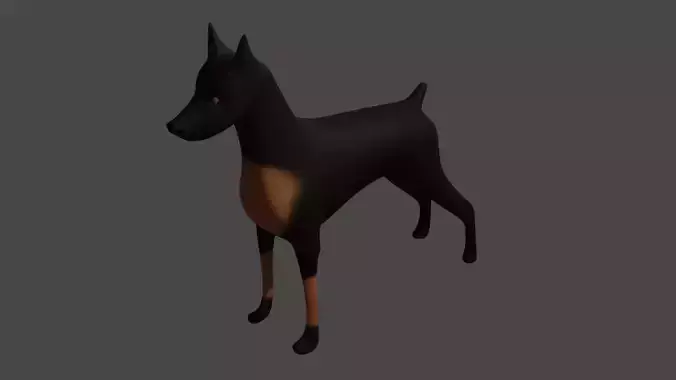 Doberman Dog
