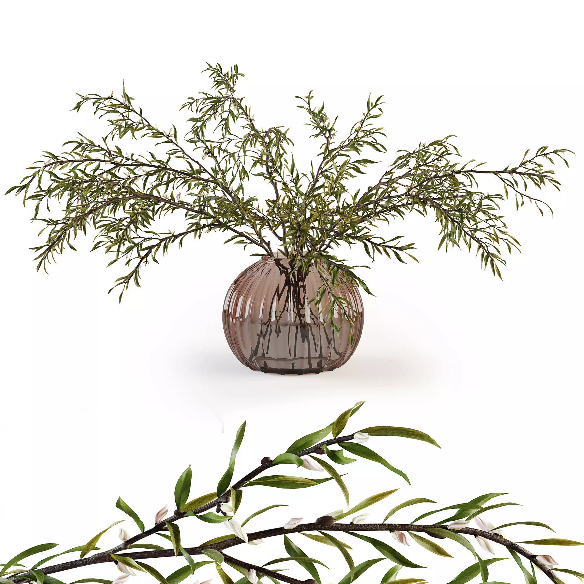 Branches in a vase 019 3D model