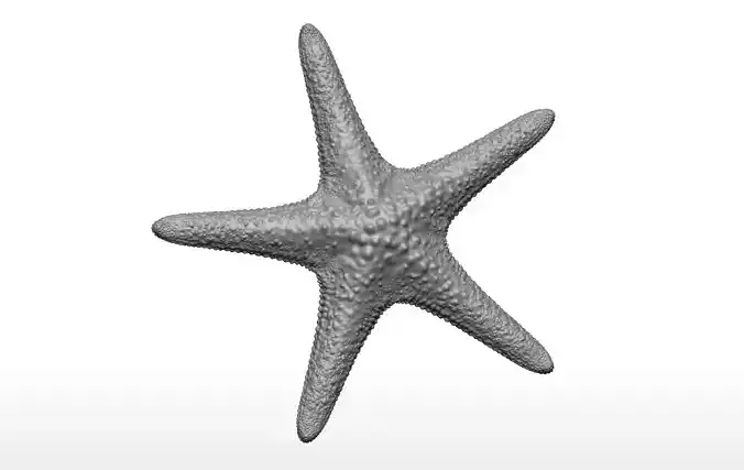 Sea Star Fish 3D Model