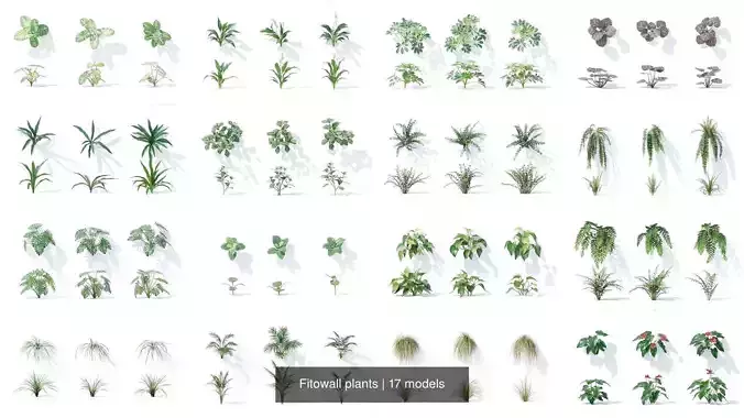 Fitowall plants 3D Model Collection