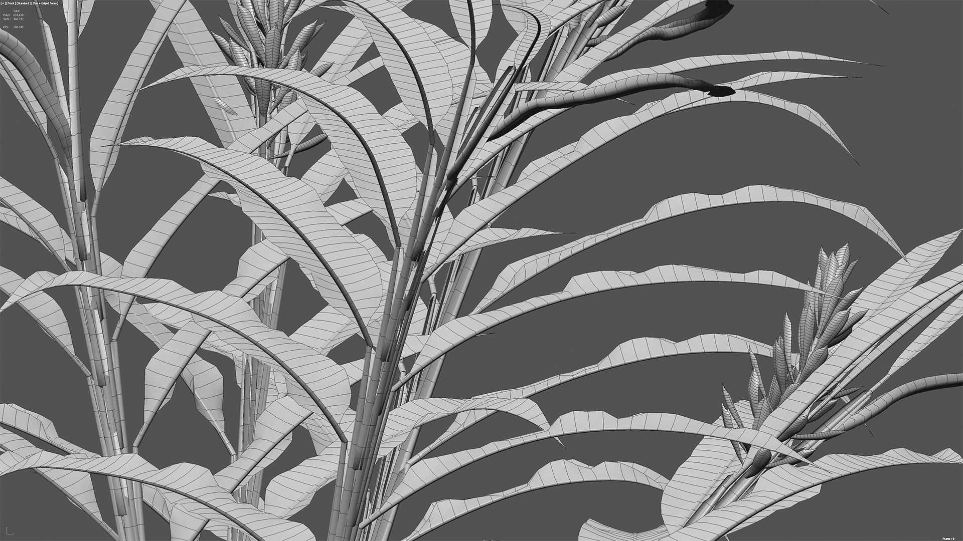 Alpinia Purpurata - Red Ginger 02 3D model_7