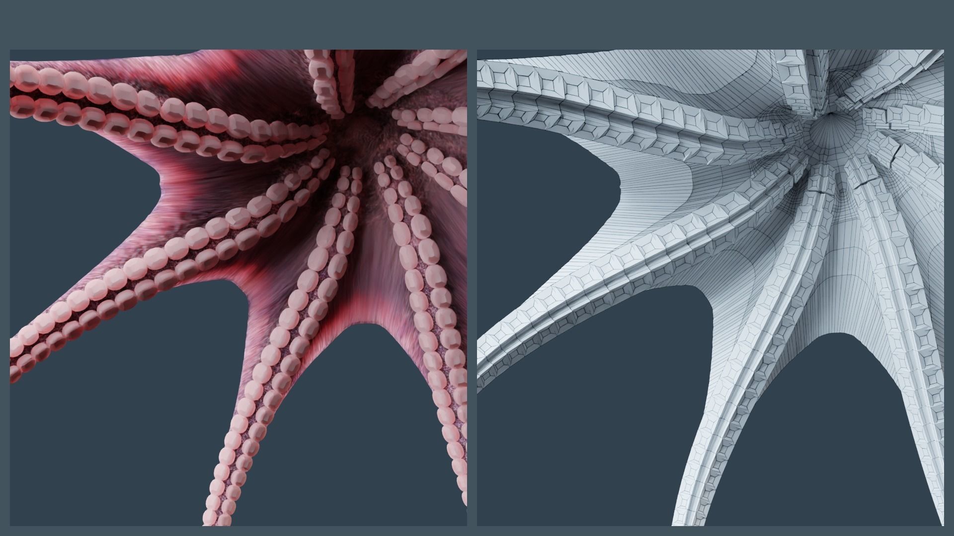 Animated Common Octopus Low-poly 3D model_5