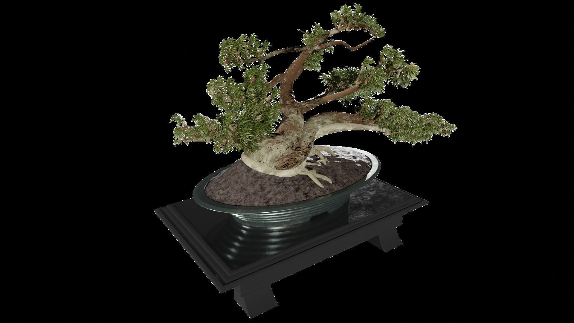 Low-Poly Bonsai Tree Low-poly 3D model_5