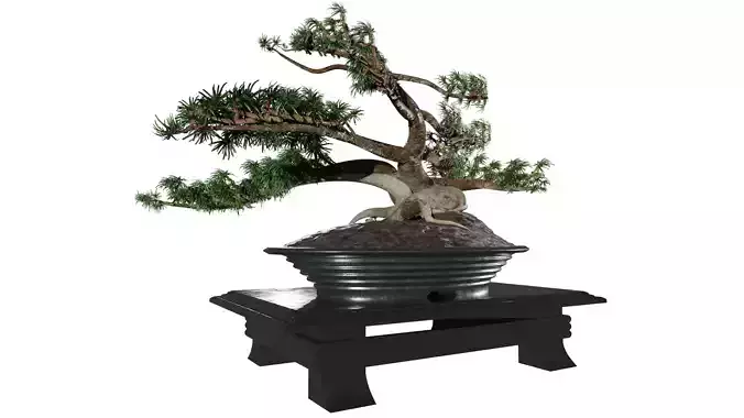 Low-Poly Bonsai Tree