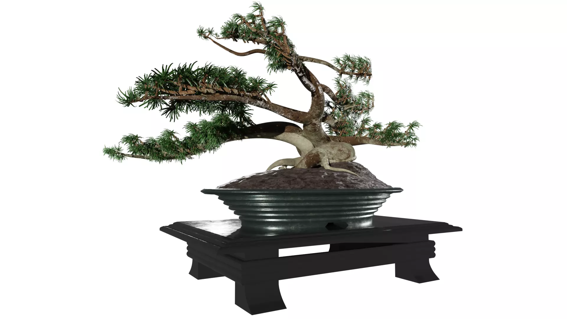 Low-Poly Bonsai Tree Low-poly 3D model_0