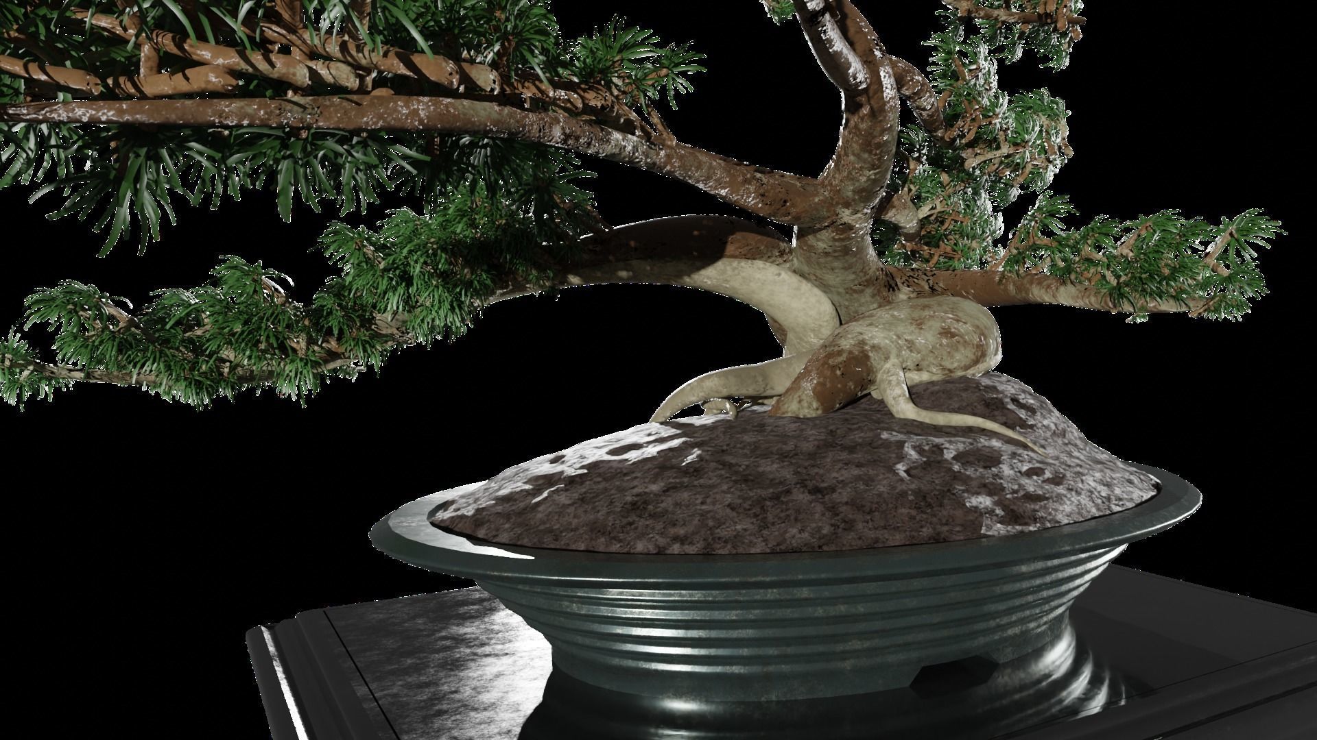 Low-Poly Bonsai Tree Low-poly 3D model_3
