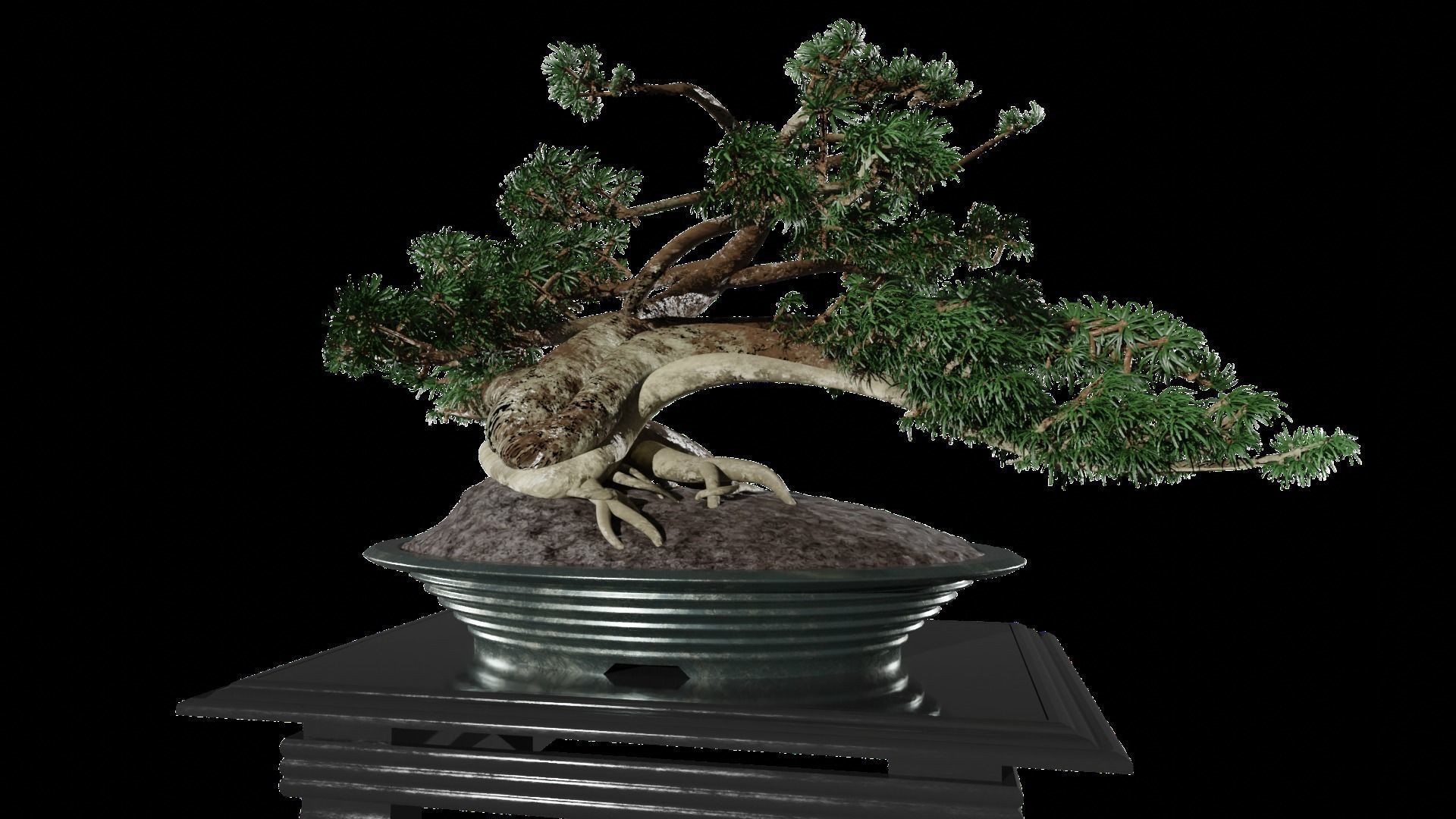 Low-Poly Bonsai Tree Low-poly 3D model_4