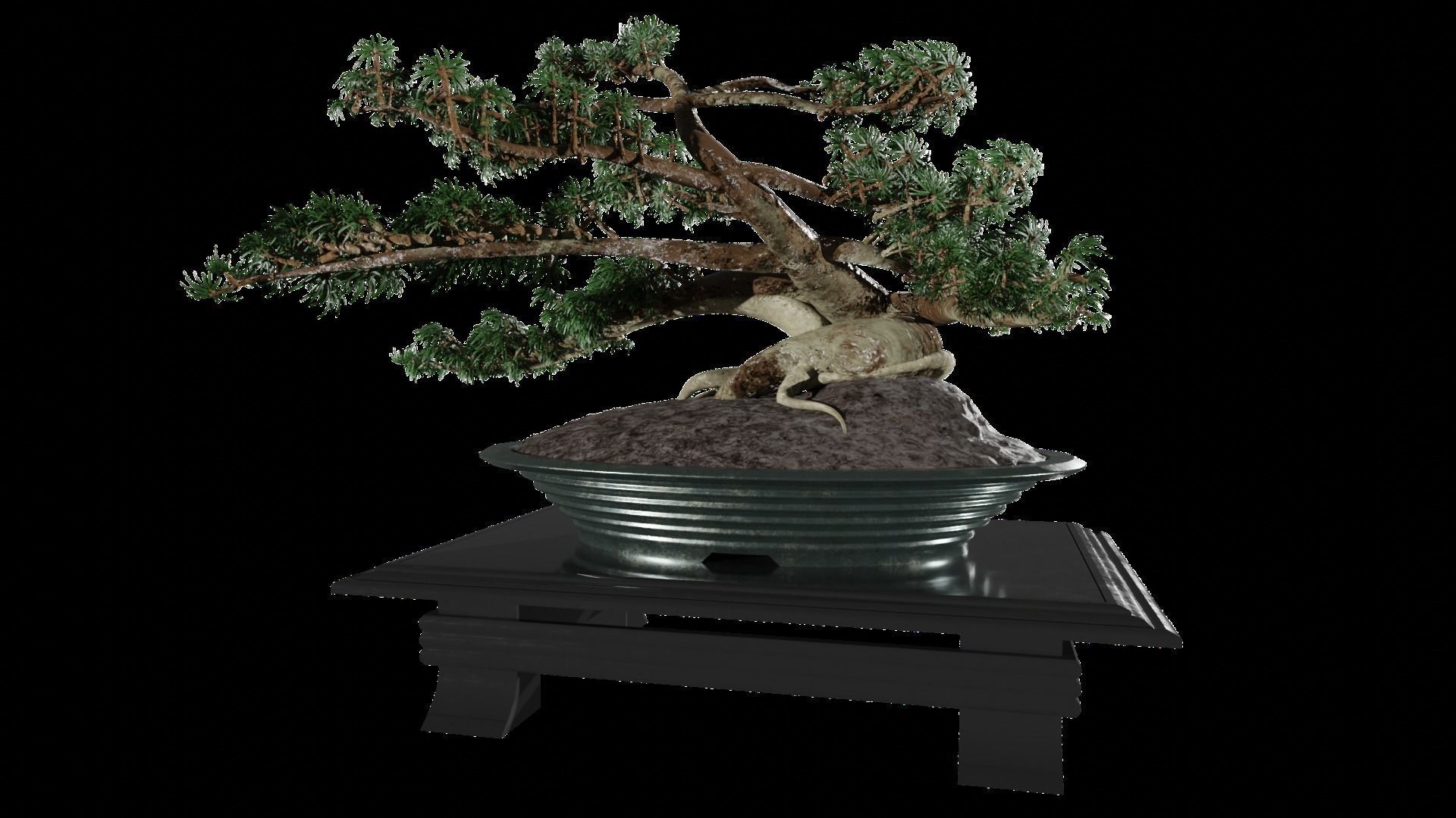Low-Poly Bonsai Tree Low-poly 3D model_1