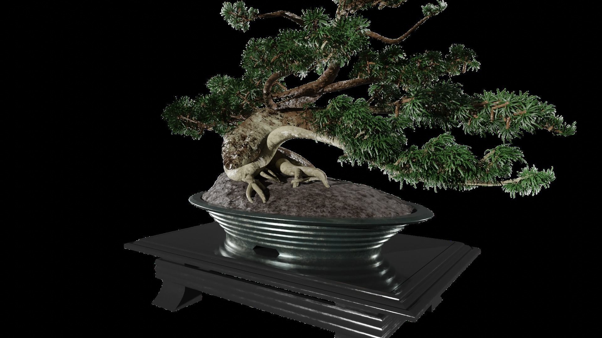 Low-Poly Bonsai Tree Low-poly 3D model_2