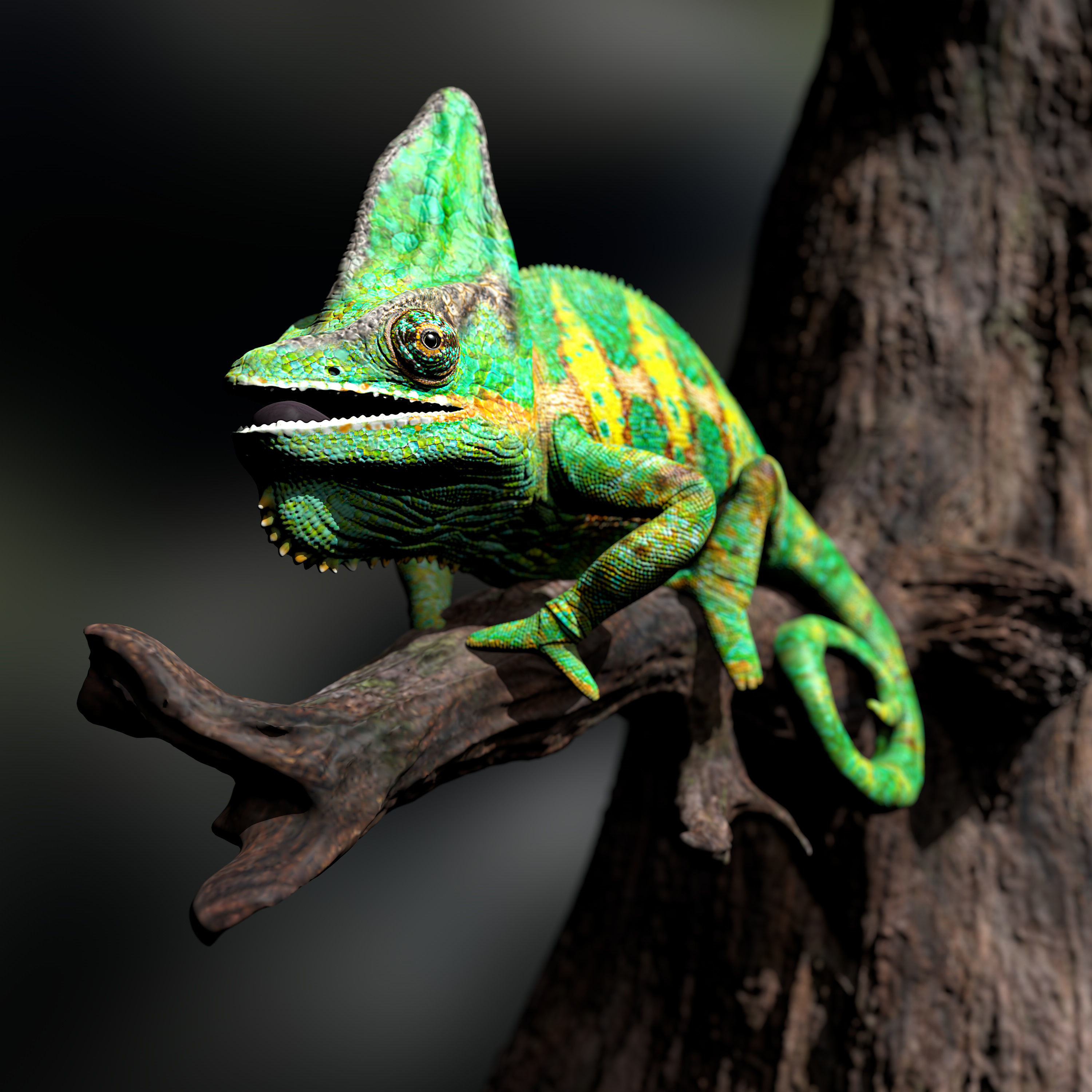 Chameleon Calyptratus Highpolygon 3D model fullsize texture 3D model_14