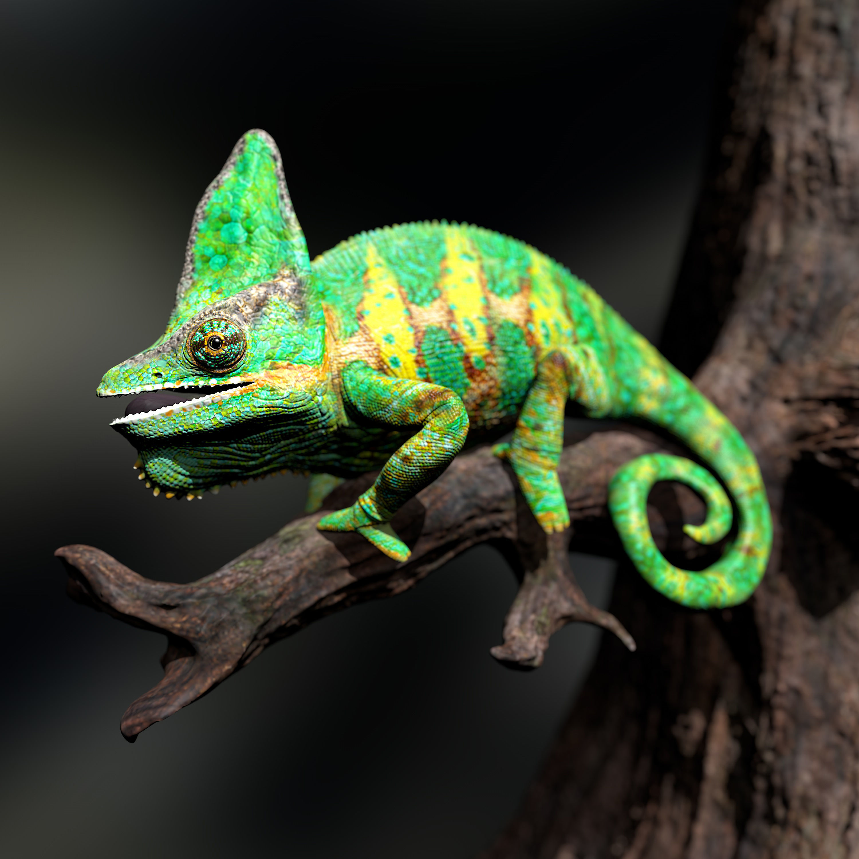 Chameleon Calyptratus Highpolygon 3D model fullsize texture 3D model_13