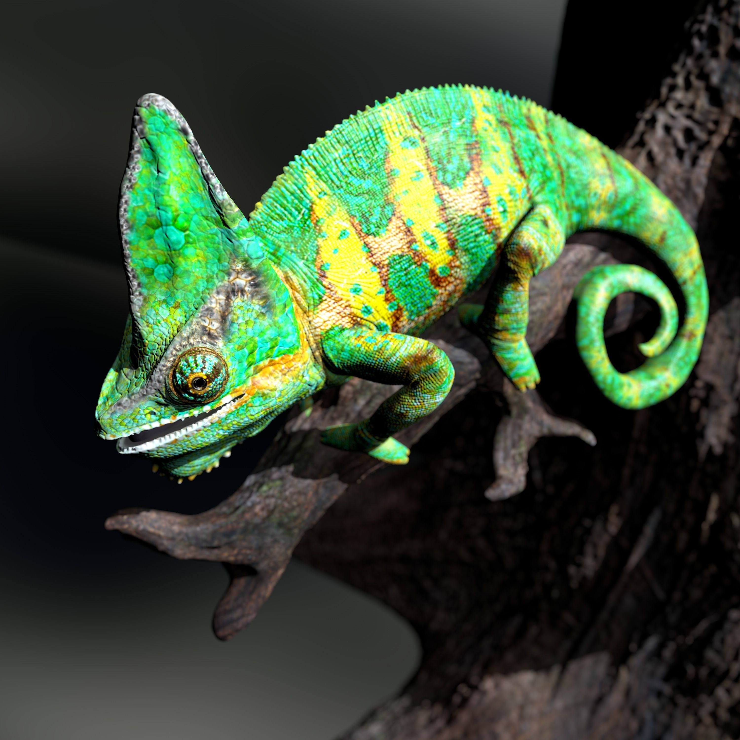Chameleon Calyptratus Highpolygon 3D model fullsize texture 3D model_15