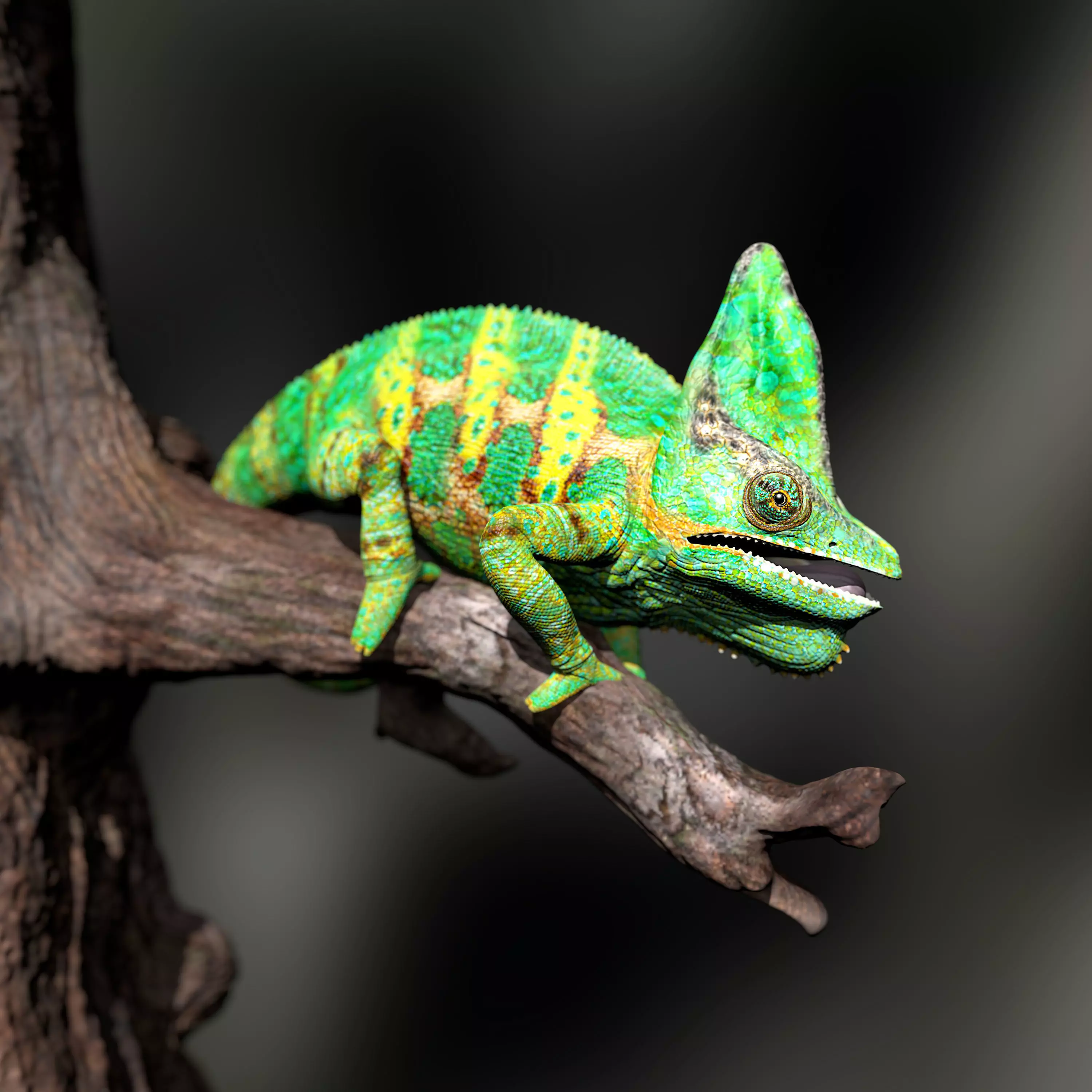 Chameleon Calyptratus Highpolygon 3D model fullsize texture 3D model_0