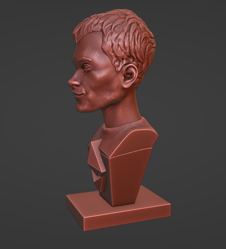 Vitalik Buterin - 3D Bust 3D print model_5