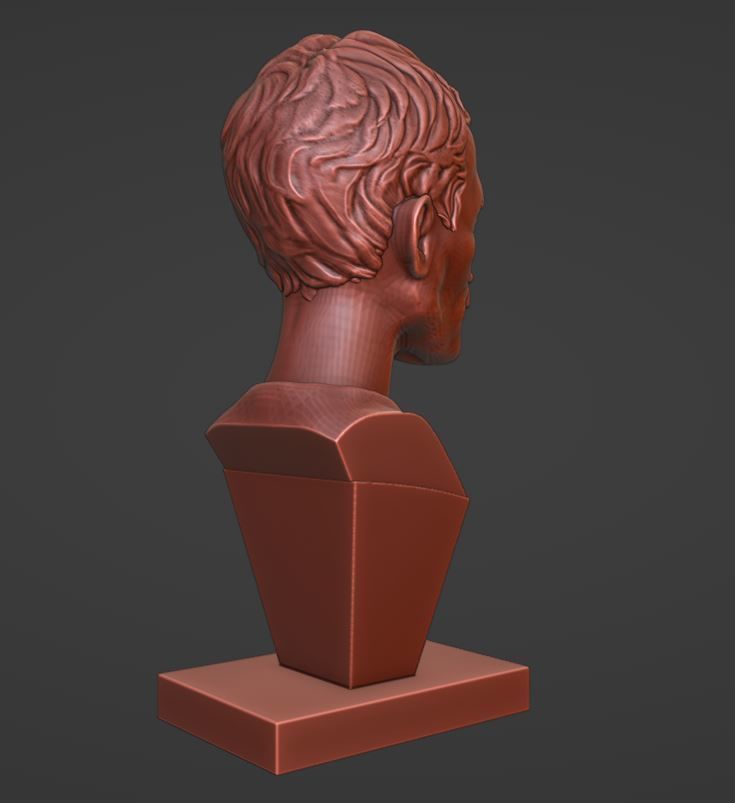 Vitalik Buterin - 3D Bust 3D print model_3