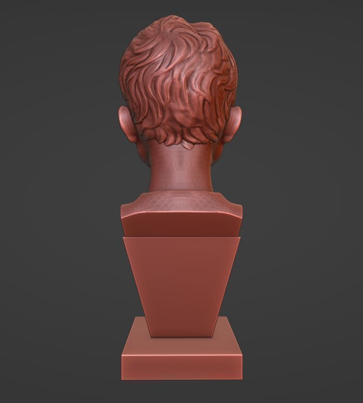 Vitalik Buterin - 3D Bust 3D print model_4