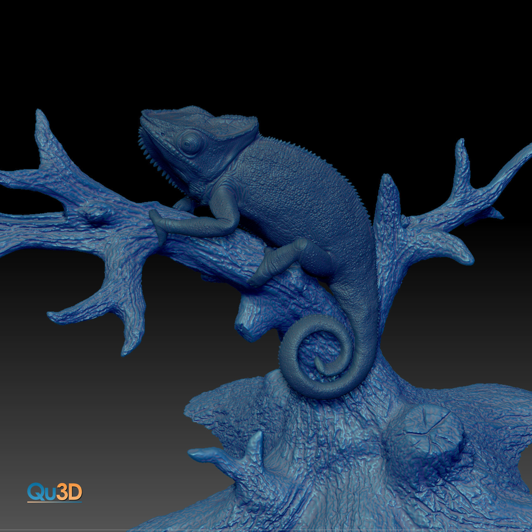 Furcifer Pardalis Sambava Full-Size Texture  Zbrush Originals 3D model_20