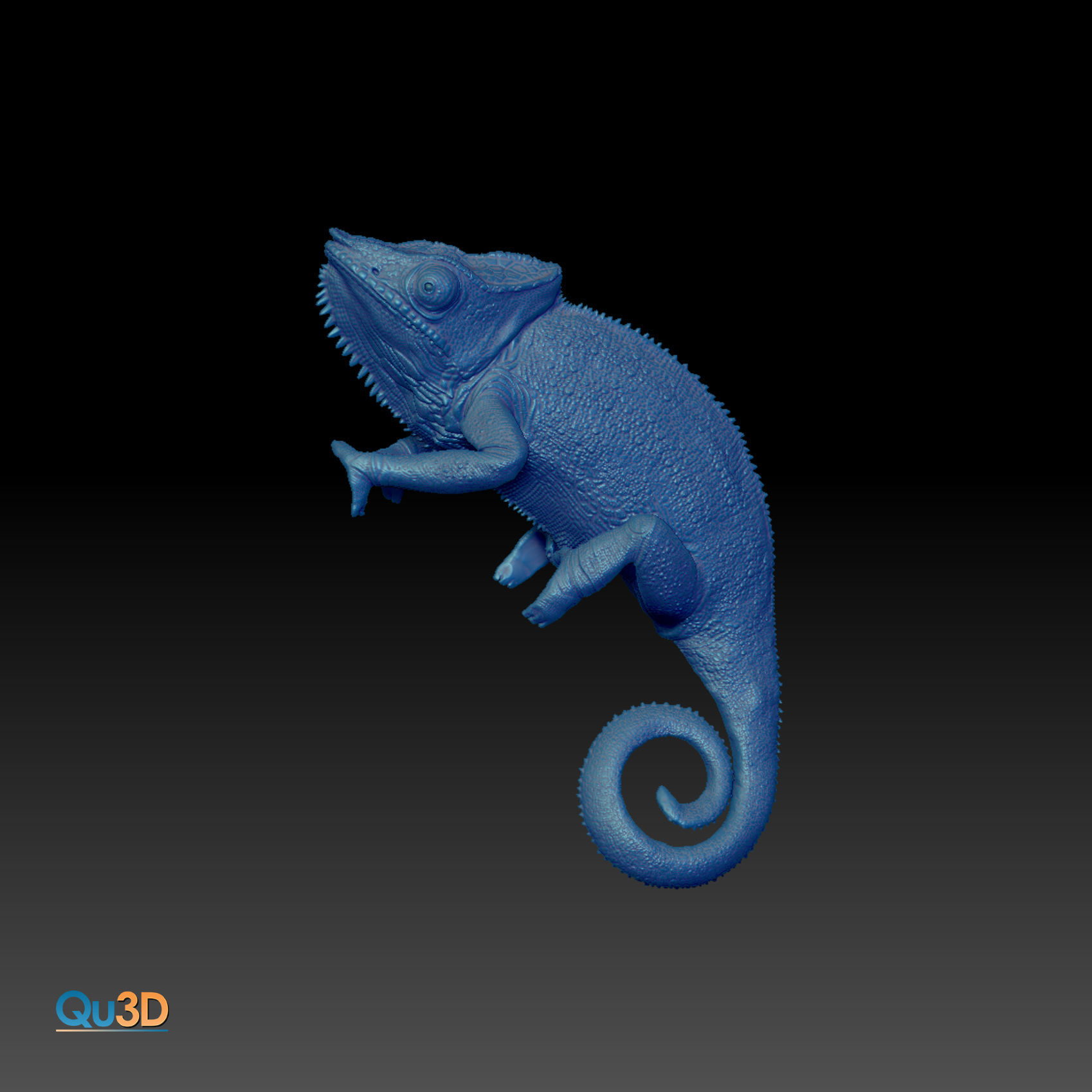 Furcifer Pardalis Sambava Full-Size Texture  Zbrush Originals 3D model_10