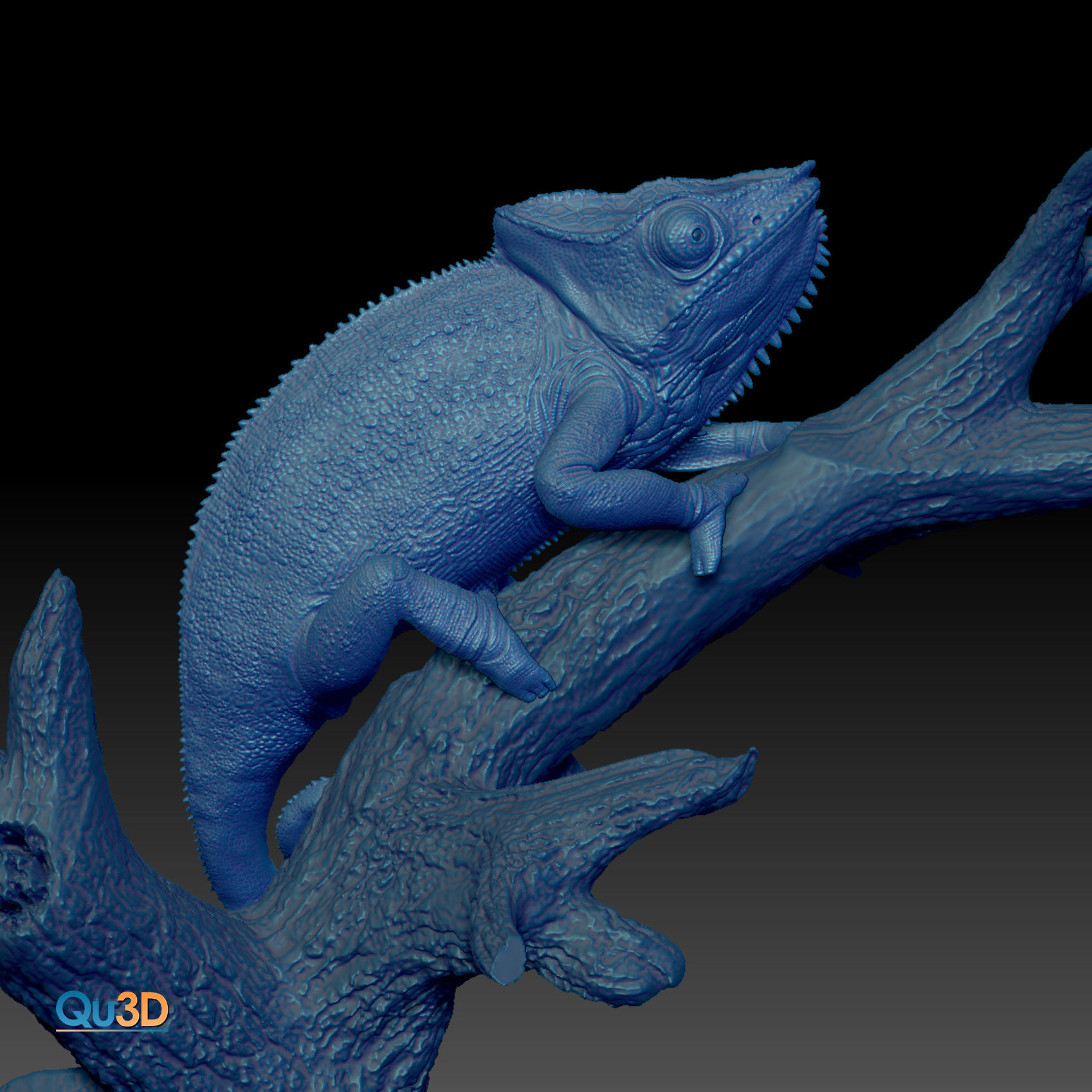 Furcifer Pardalis Sambava Full-Size Texture  Zbrush Originals 3D model_19