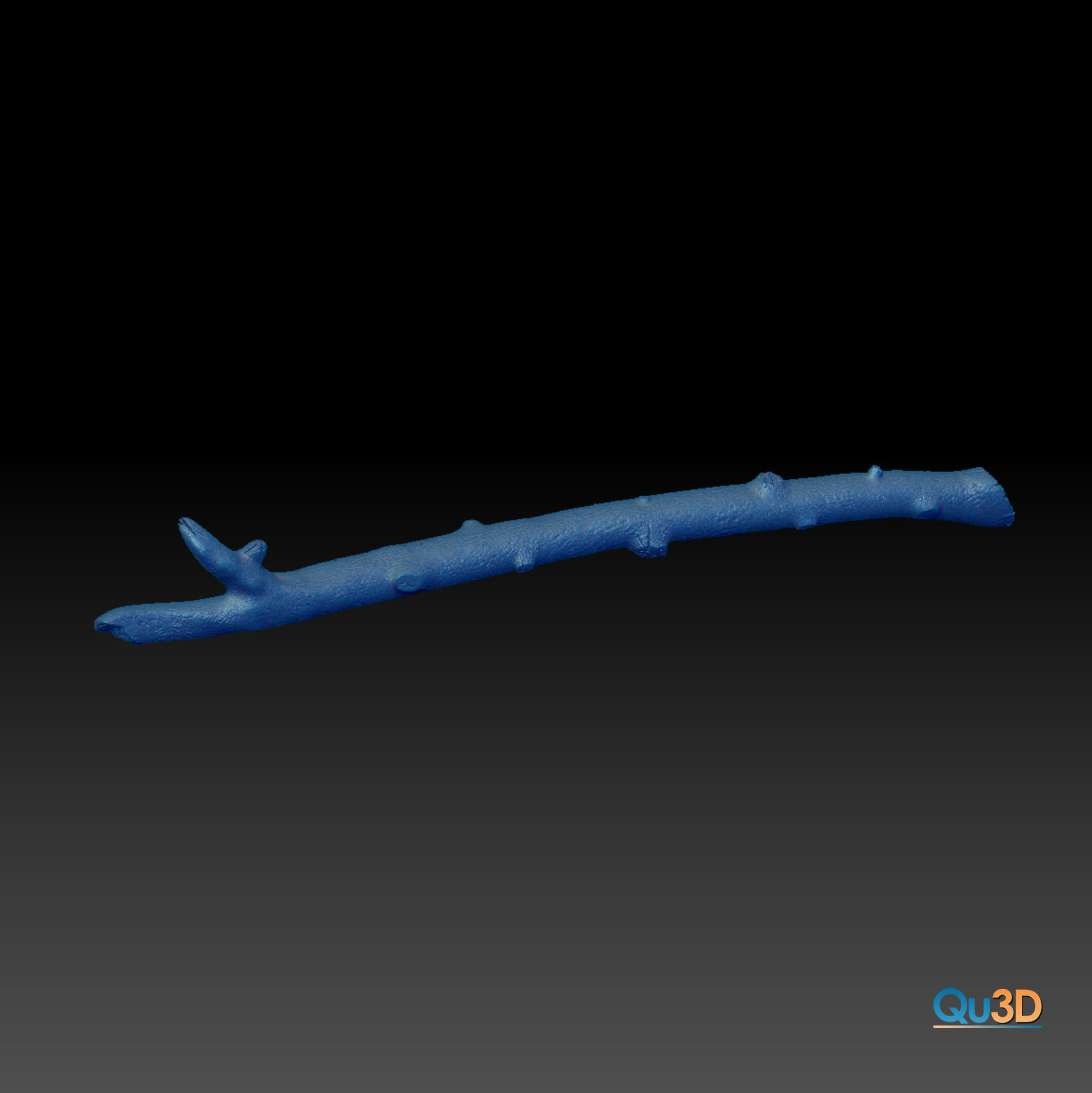 Furcifer Pardalis Sambava Full-Size Texture  Zbrush Originals 3D model_8