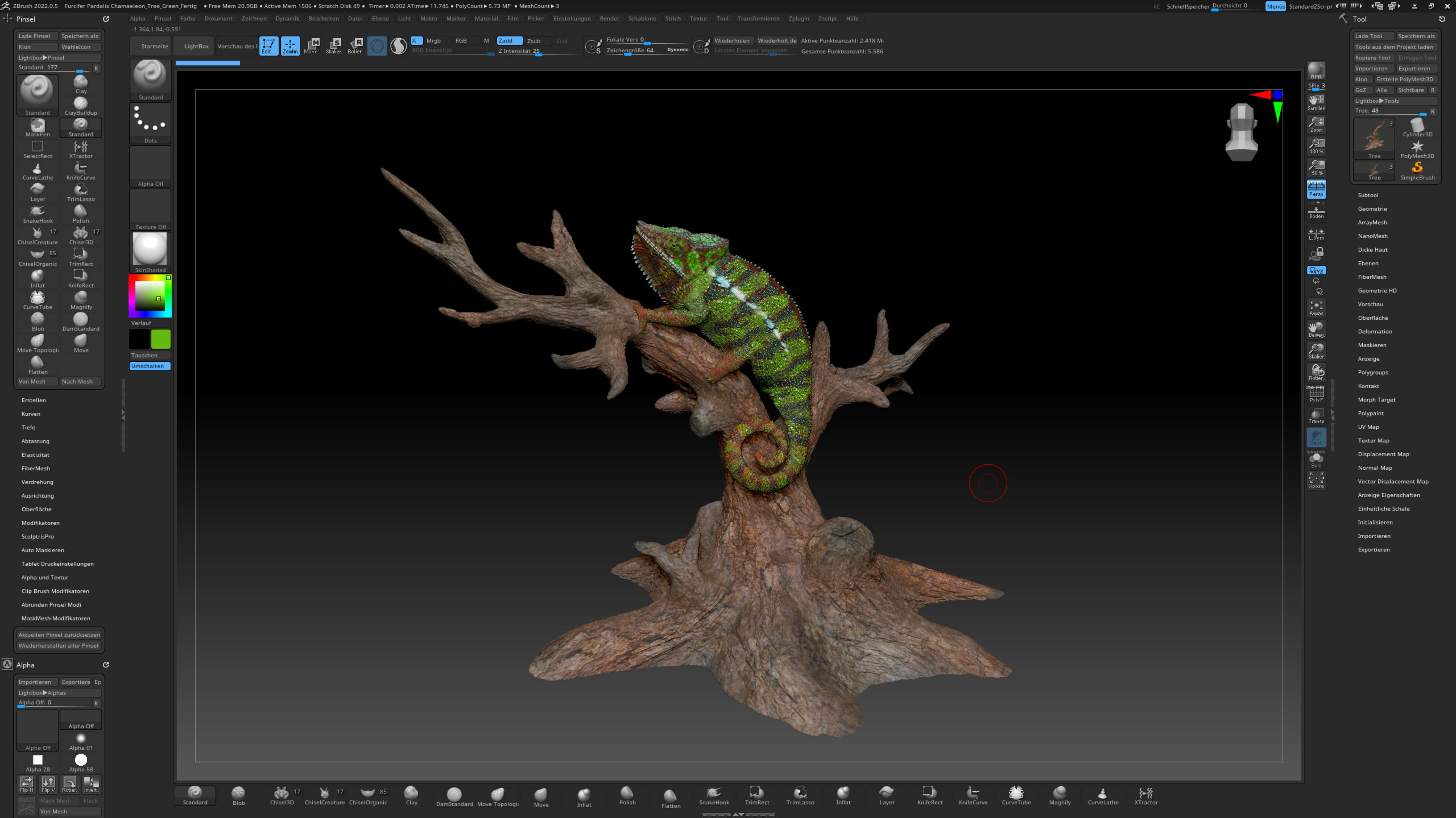 Furcifer Pardalis Sambava Full-Size Texture  Zbrush Originals 3D model_22