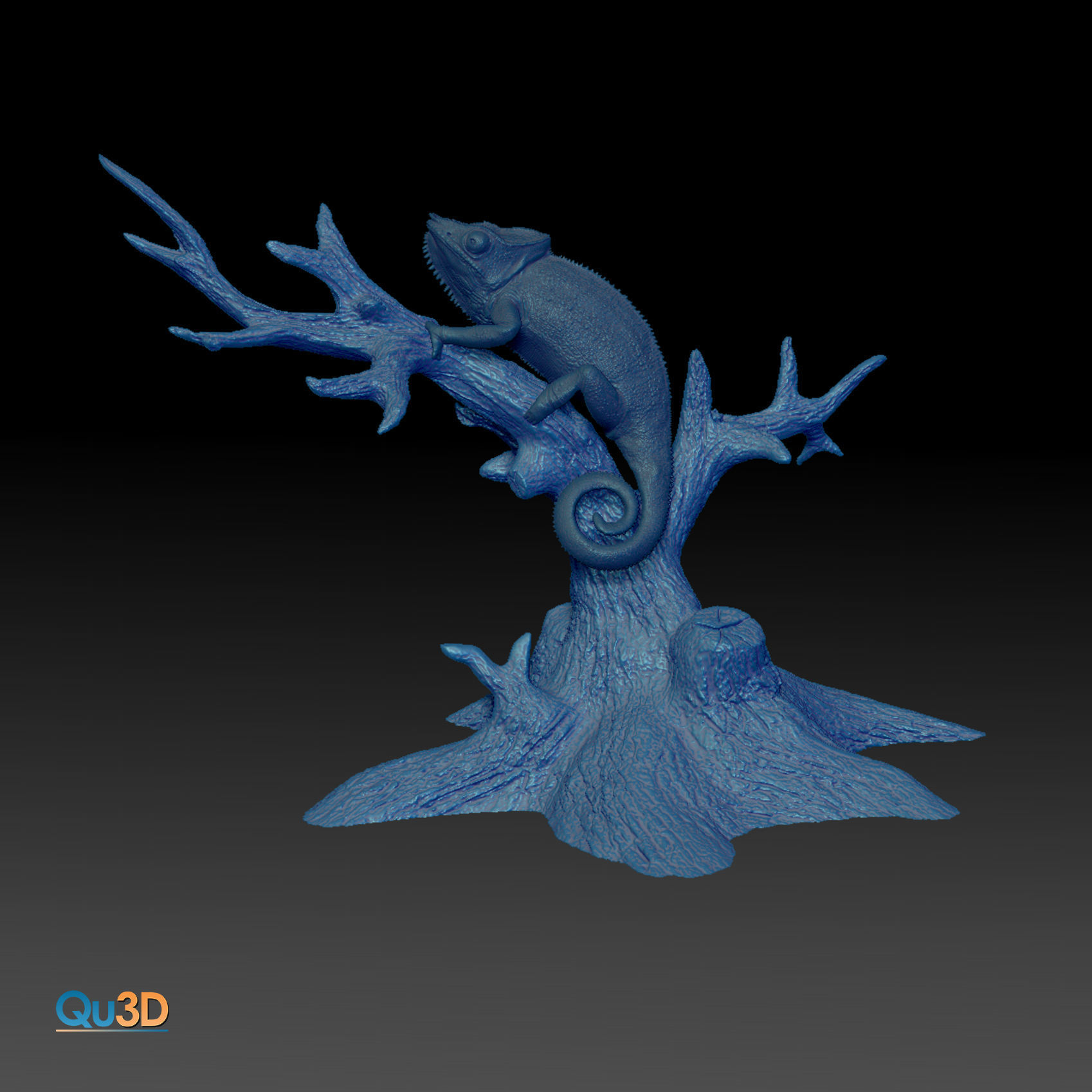 Furcifer Pardalis Sambava Full-Size Texture  Zbrush Originals 3D model_14