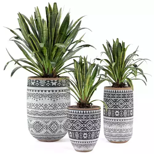 Indoor Plants in Concrete Pots - Set 36 