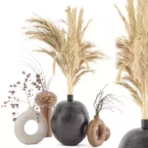 Dry plants 09 - Dried Plantset Pampas whit Concrete vase  3D model
