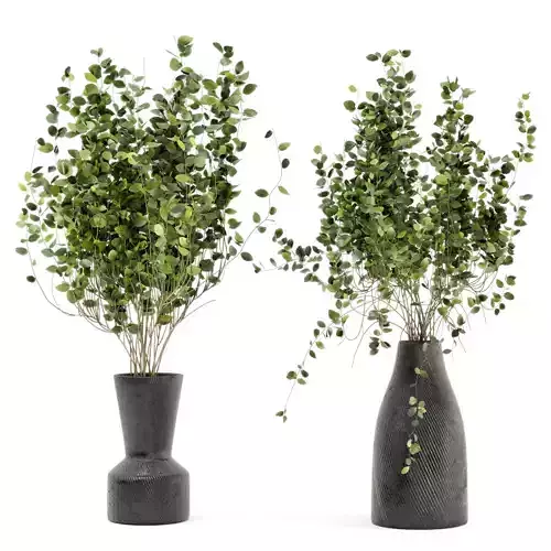 Indoor Plants in rusty Concrete Pots - Set 37 