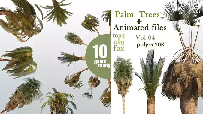 10 Palm Trees VOL 04 And Animated Files