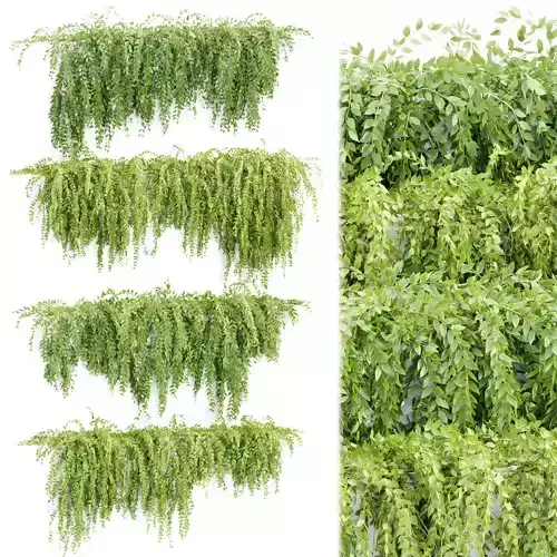 Hanging wall creeper plants collection vol 159 3D model