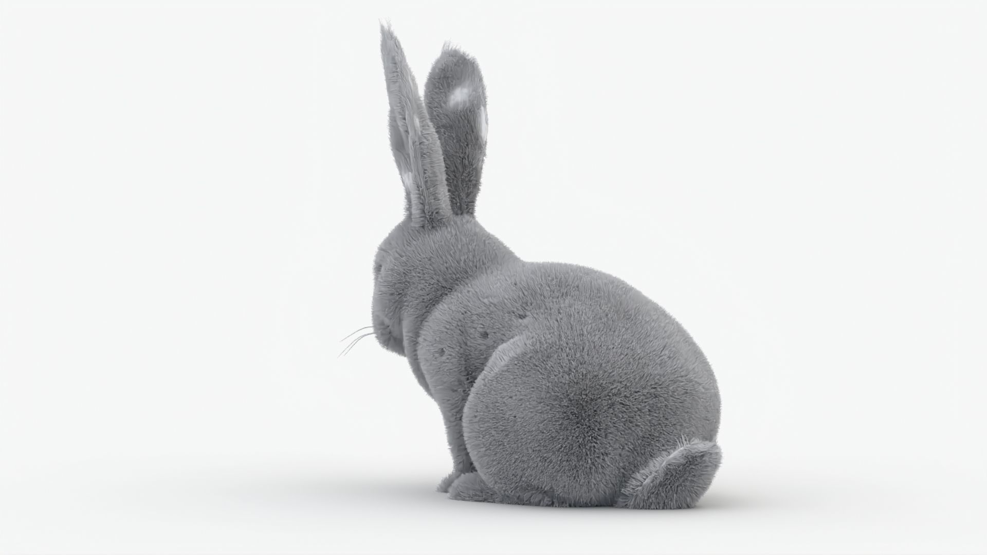 Dirty Rigged Rabbit with XGEN fur for MAYA Arnold Low-poly 3D model_3