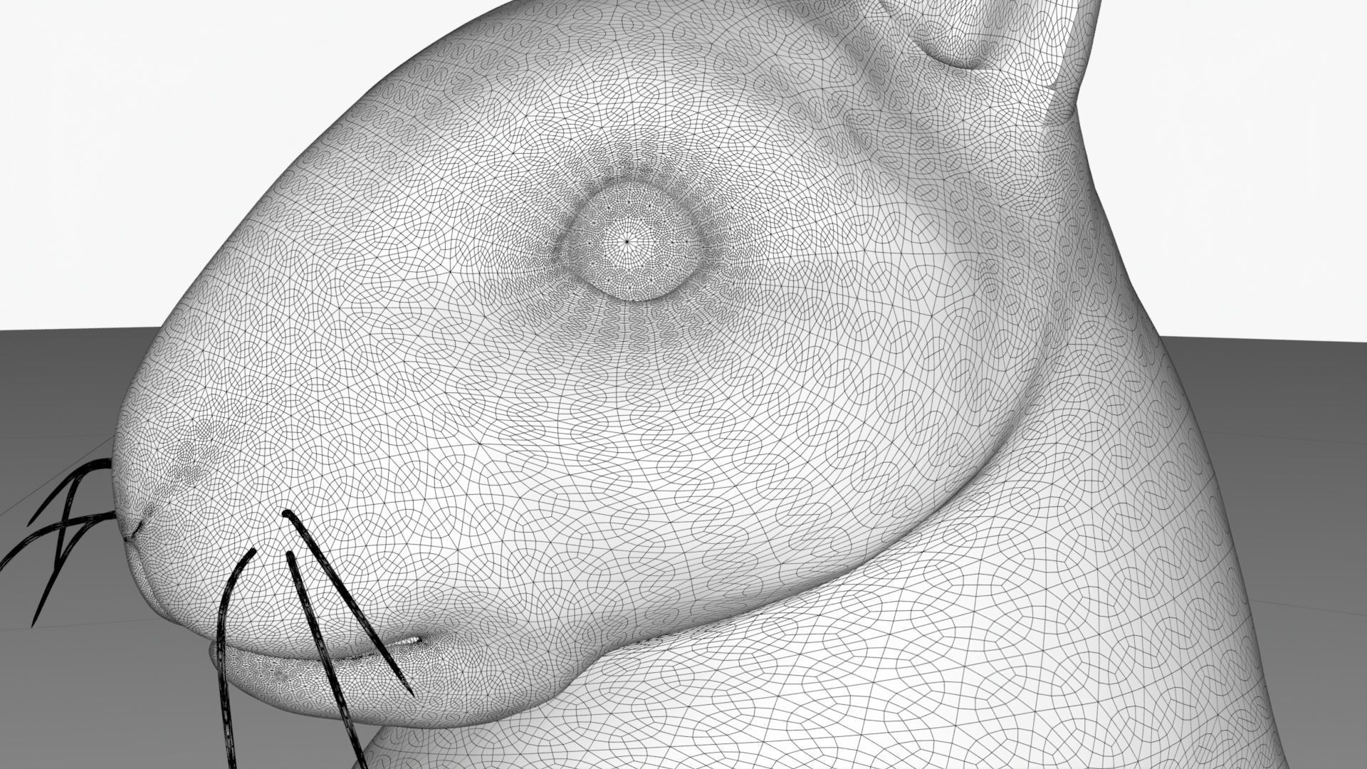 Dirty Rigged Rabbit with XGEN fur for MAYA Arnold Low-poly 3D model_1