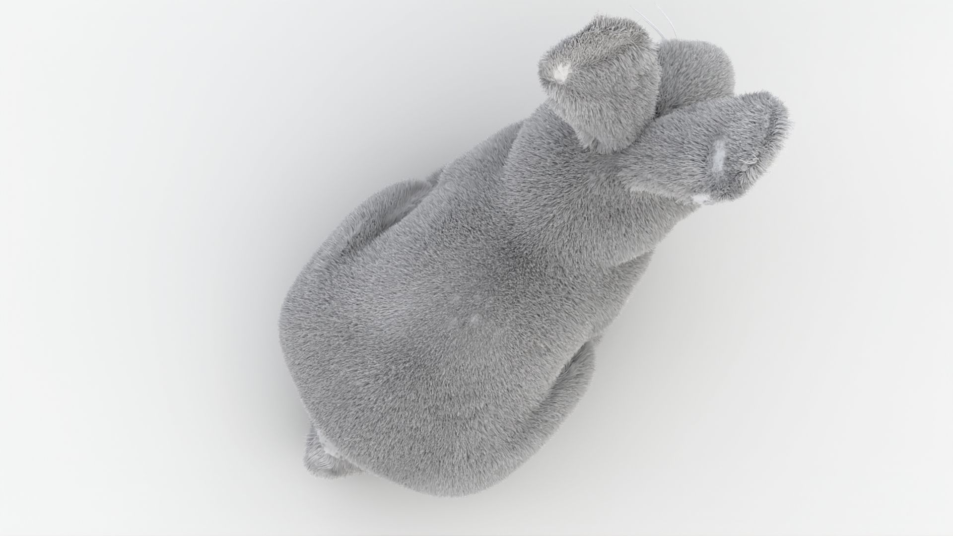 Dirty Rigged Rabbit with XGEN fur for MAYA Arnold Low-poly 3D model_4